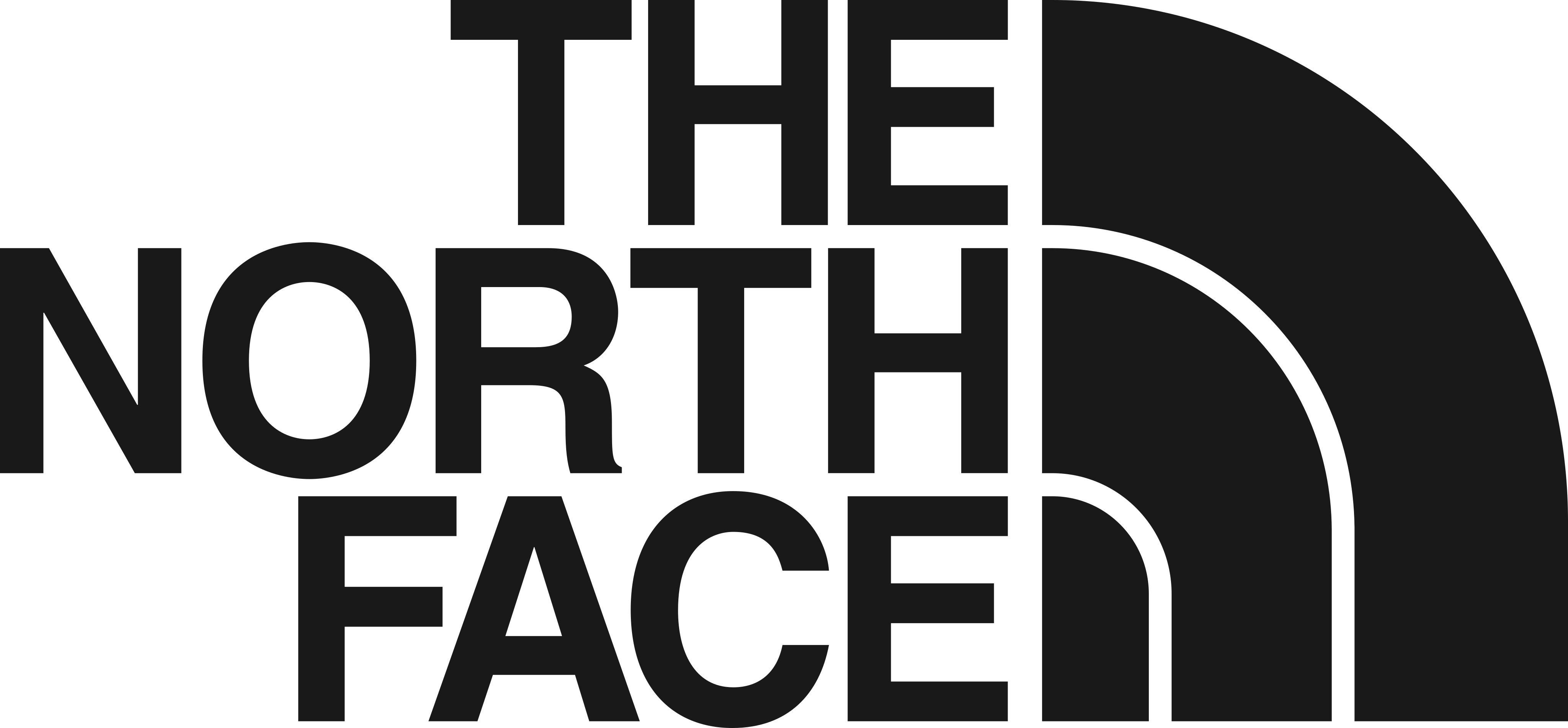 Logo The North Face