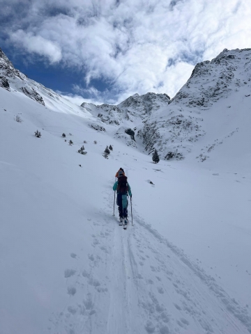 1000023560