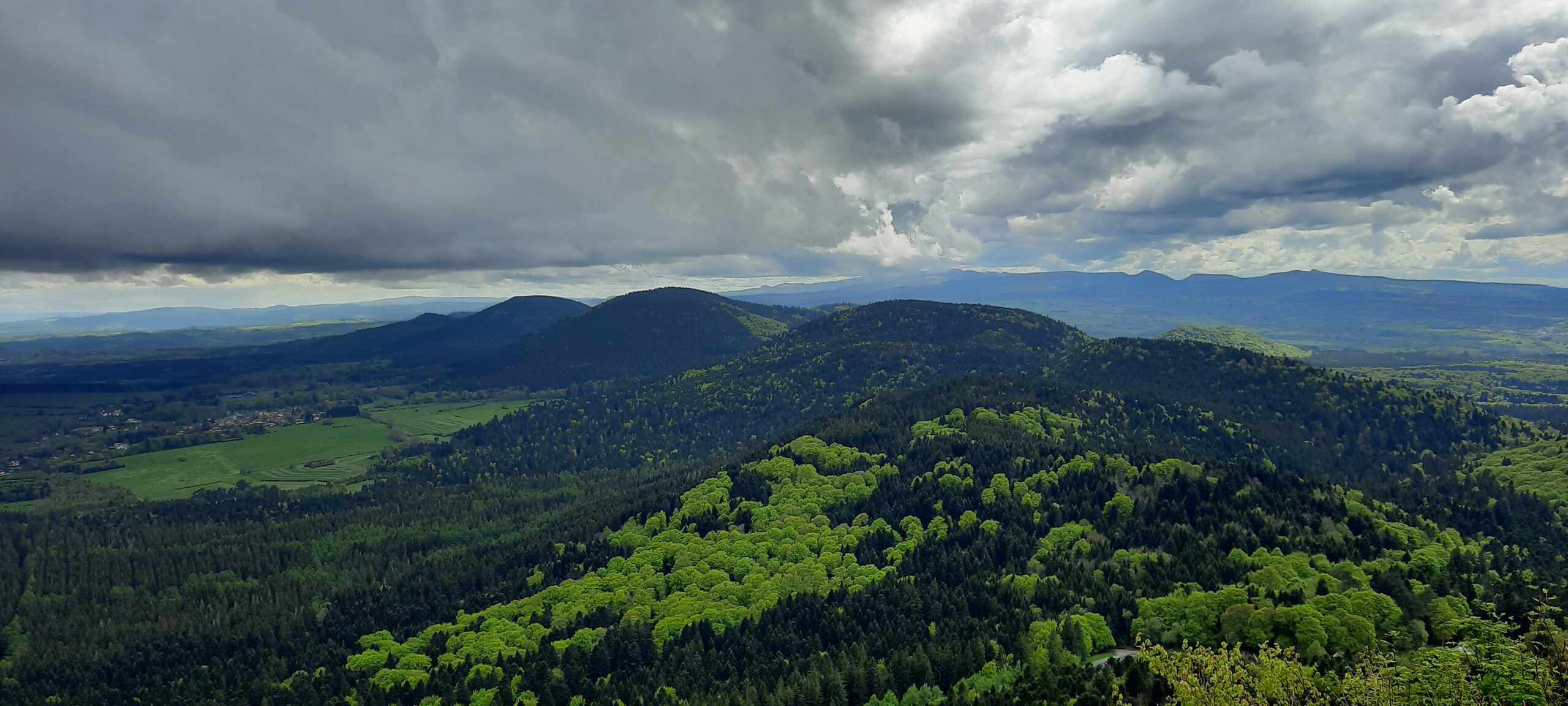20240516_152405.jpg