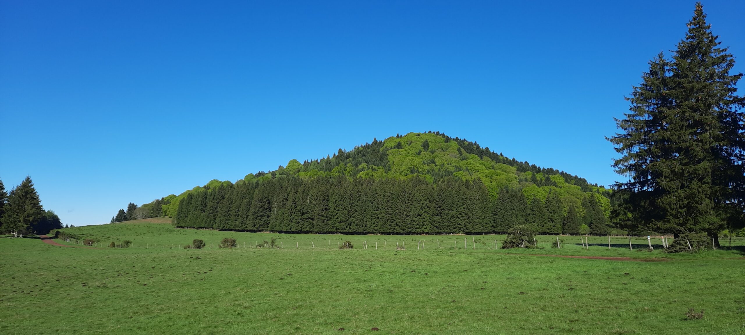 20240517_091013.jpg