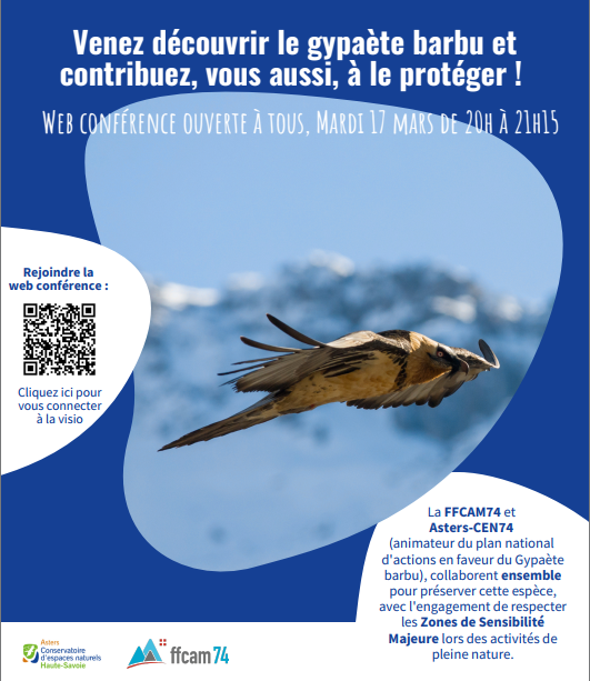 Revoir la visio Gypaètes barbus