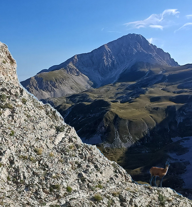 Cresta di Malacoste6