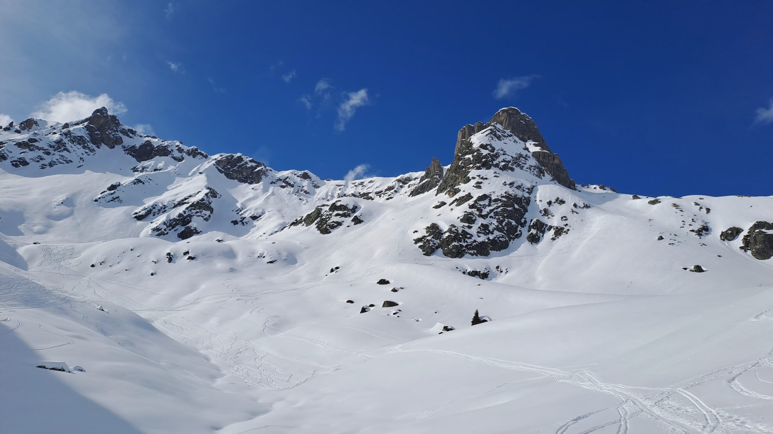IMG 20250302 WA0037