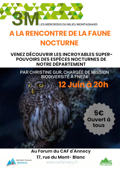 A la rencontre de la faune nocturne …