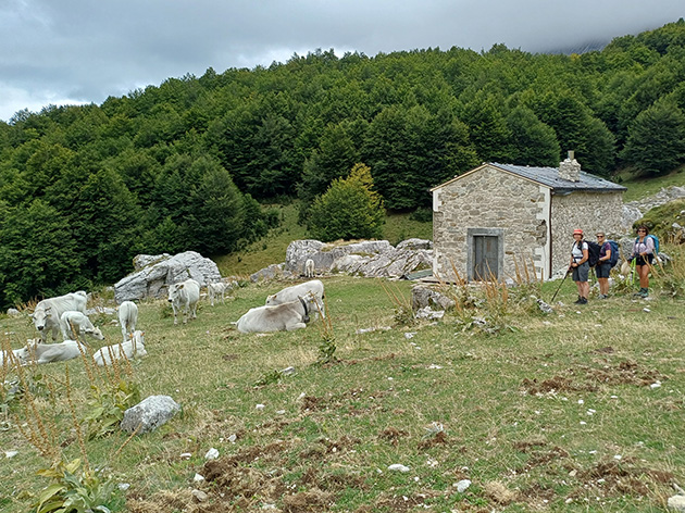 riffugio de la Monte