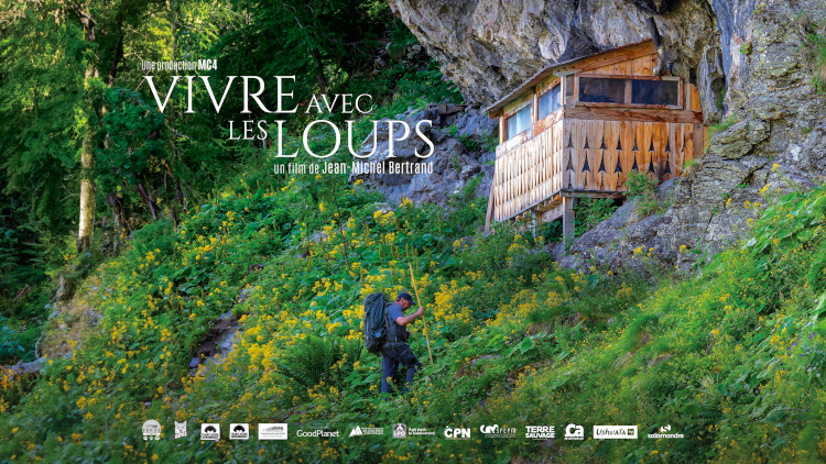 Loups, alpagistes, sportifs de pleine nature, la nature en partage …