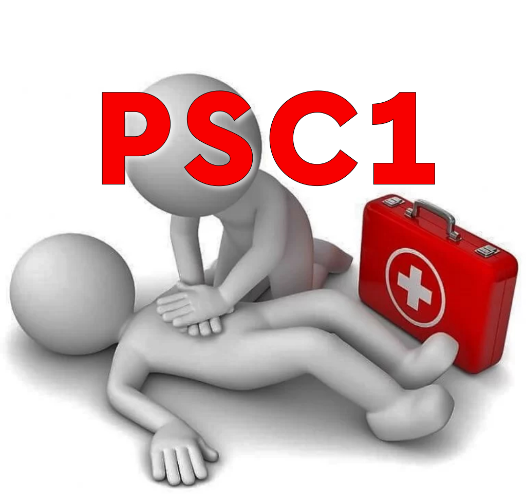 Formations secourisme novembre 2026